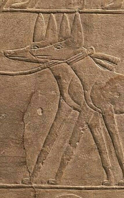 Salukis ? | Ancient egyptian art, Egypt art, Ancient egypt