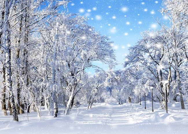 5x5FT Vinyl Wall Photography Backdrop,Winter,Horses in Snowy Forest Background for Baby Birthday Party Wedding Studio Props Photography 5x5FT Vinyl Wall Photography Backdrop,Winter,Horses in Snowy Forest Background for Baby Birthday Party Wedding Studio Props Photography