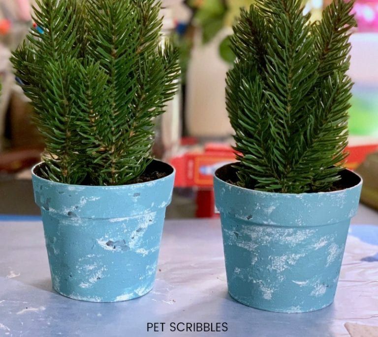 Chalk Paint On Plastic Pots An Amazing Makeover Painting Plastic Plant Pot Diy Plastic Plant Pots
