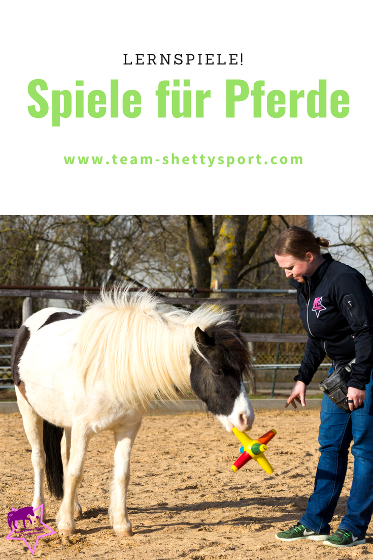 Mit Pferden Spielen Mit Pferden Spielen