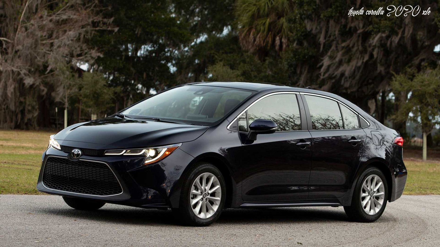 2020 Toyota Camry Hybrid Xle Sedan Review Ratings The Brand New Camry Is Generated At A Georgetown Kentucky Plant Toyota Camry Camry Toyota