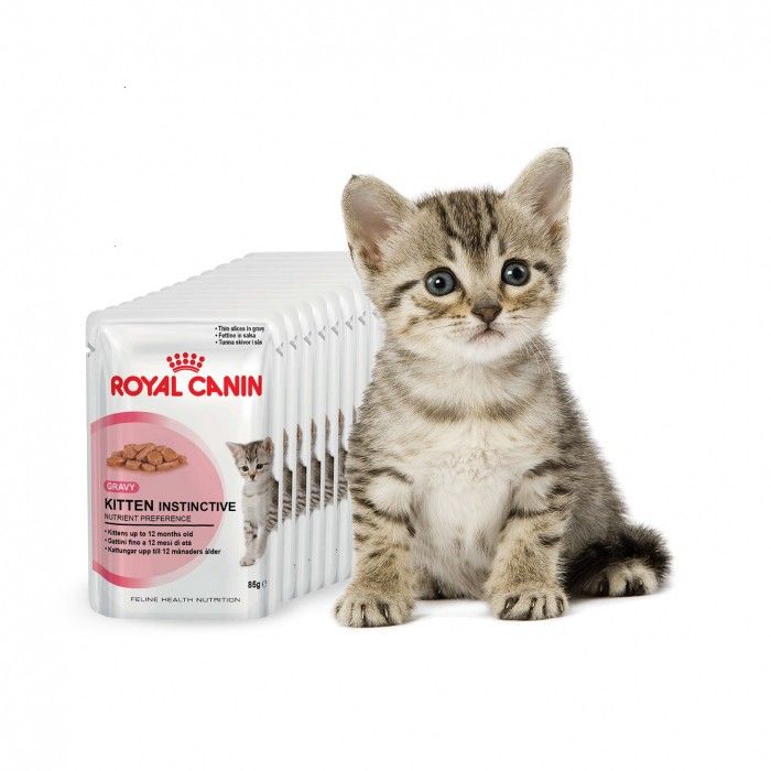 Royal Canin Kitten Sauce Pour Chaton Sachet Fraicheur Pour Chaton Wanimo Chaton Canin Chaton A Adopter Royal Canin Kitten Sauce Pour Chaton Sachet Fraicheur Pour Chaton Wanimo Chaton Canin Chaton A Adopter