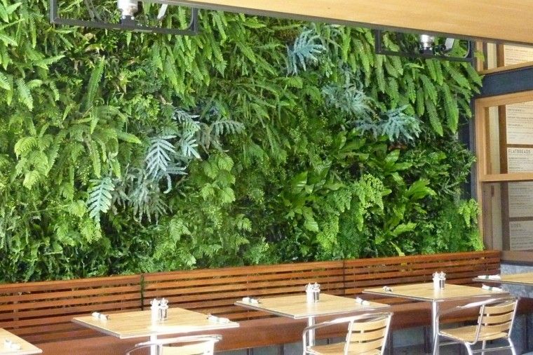 Diseño jardines verticales y naturaleza, un espacio de vida.
