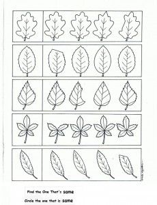 the worksheet shows how to draw leaves in different ways, including one