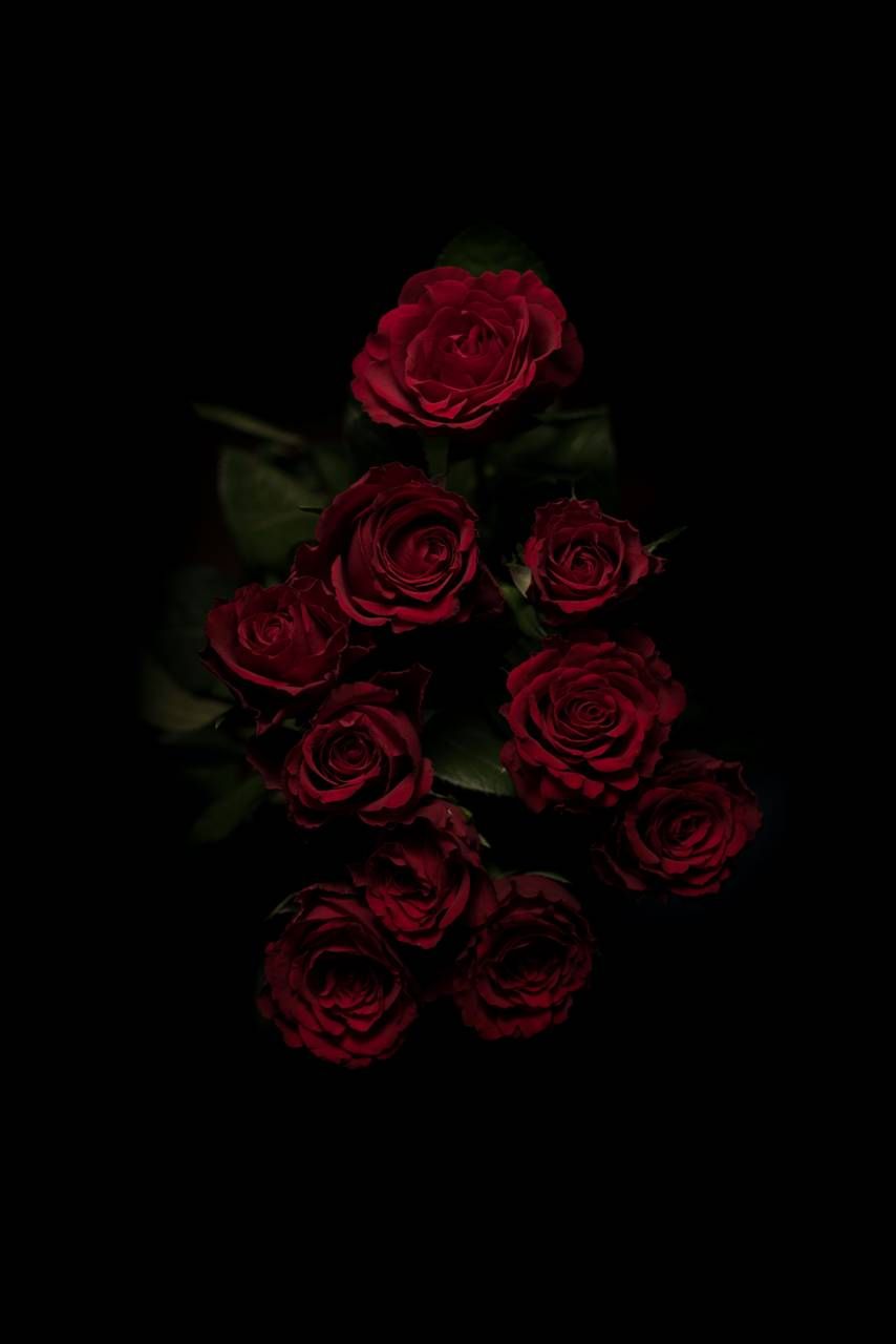 bouquet wallpaper by abej666 - 0c - Free on ZEDGE™ bouquet wallpaper by abej666 - 0c - Free on ZEDGE™