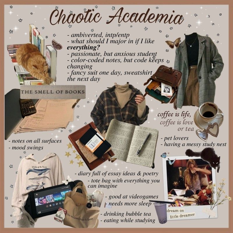 Chaotic Academia aesthetic