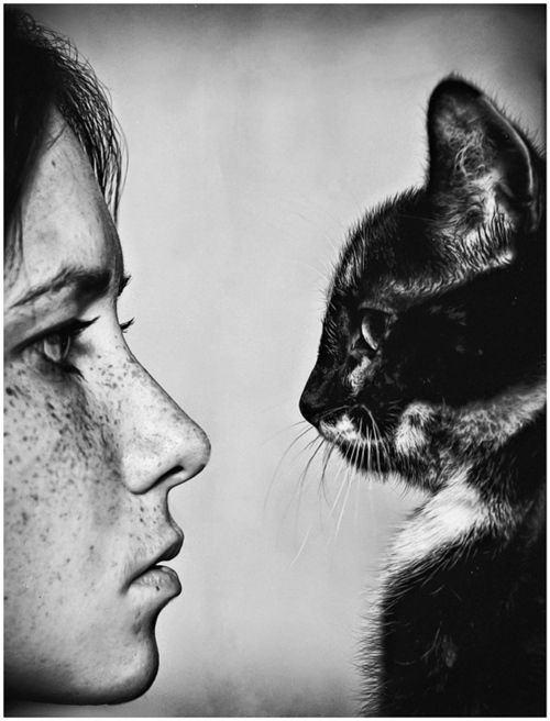 Single frauen katzen