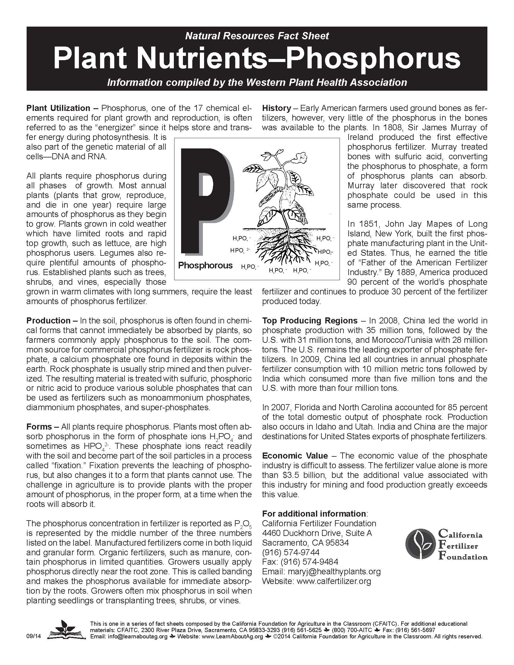 plant nutrients phosphorus facts about production value phosphorus facts