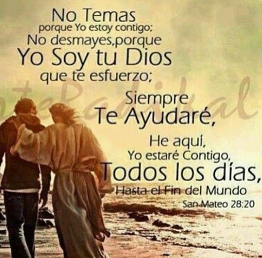San Mateo Frases Religiosas Frases Espirituales Vers culos B blicos san-mateo-frases-religiosas-frases-espirituales-vers-culos-b-blicos