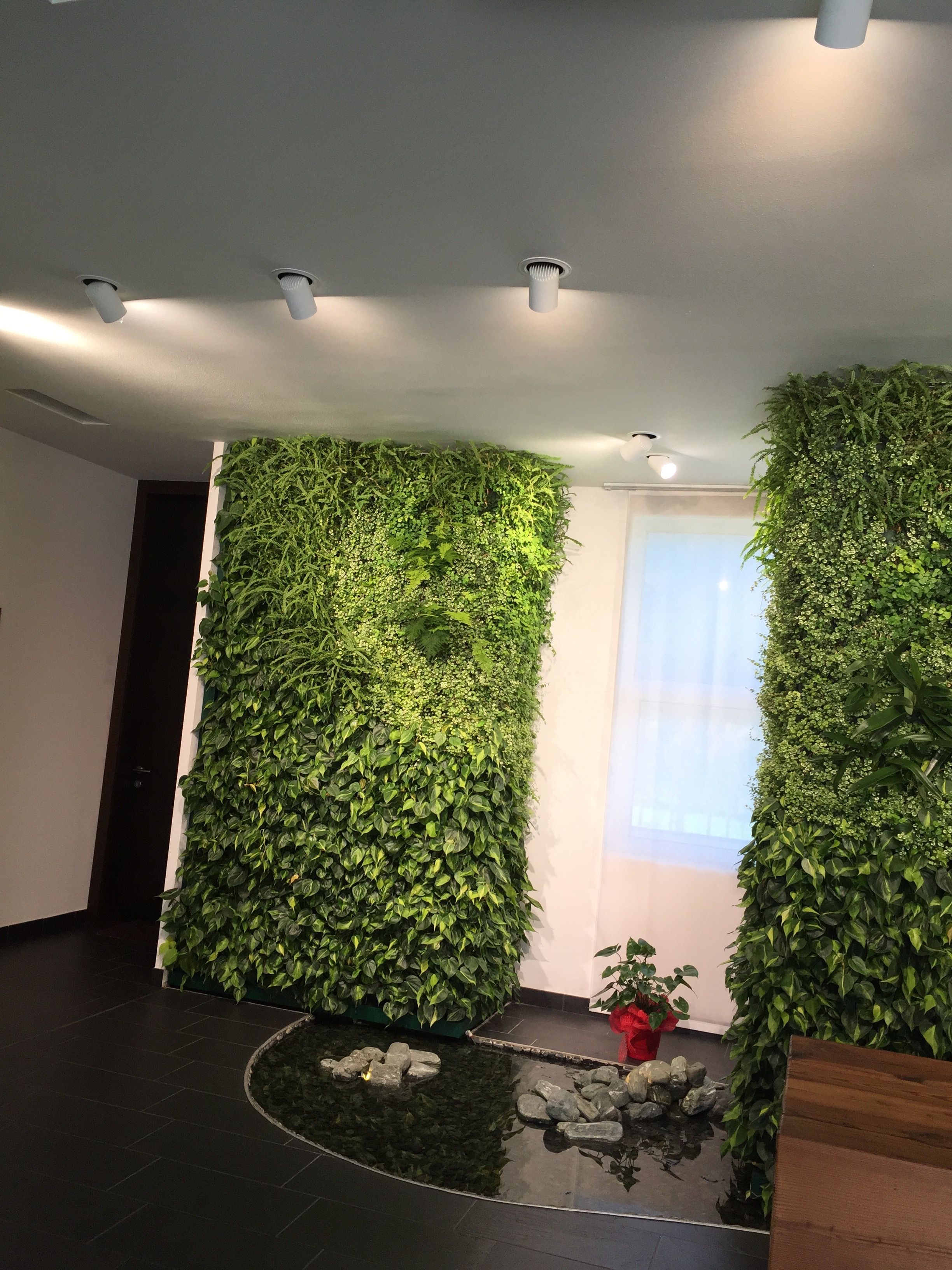 7 meravigliosi benefici del giardino verticale interno Giardino verticale interno