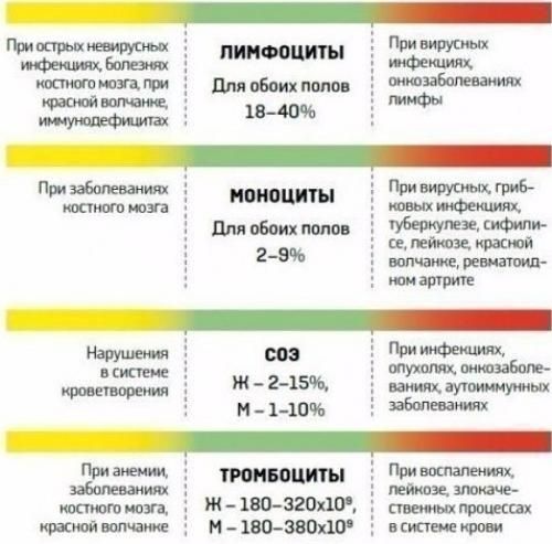Картинки КАК ПО АНАЛИЗАМ ПОНЯТЬ БАКТЕРИАЛЬНУЮ ИНФЕКЦИЮ