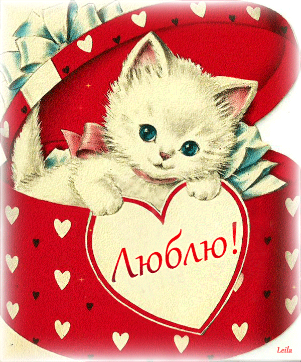 Люблю целую открытки