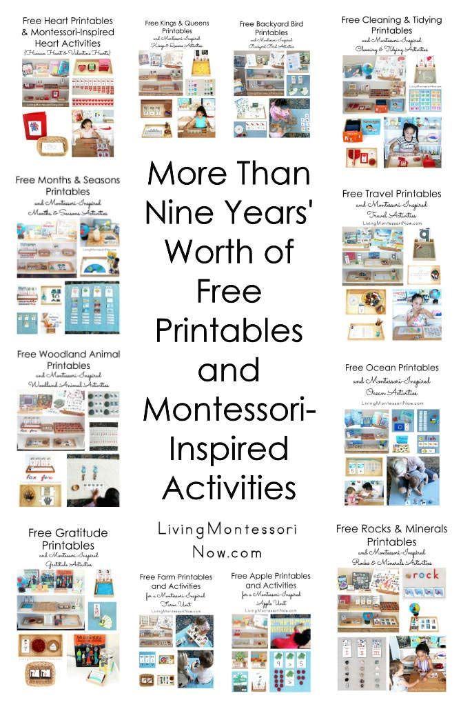 Free printables and Montessori-inspired activities from 2019 along with more than 9 years' worth of free printables and activities for preschoolers through early elementary - Living Montessori Now #Montessori #homeschool #preschool #kindergarten #freeprintables Montessori Activities Preschool, Montessori Lessons, Montessori Homeschool, Montessori Classroom, Homeschool Kindergarten, Free Homeschool, Baby Activities, Monthly Themes For Preschool, Montessori Theory