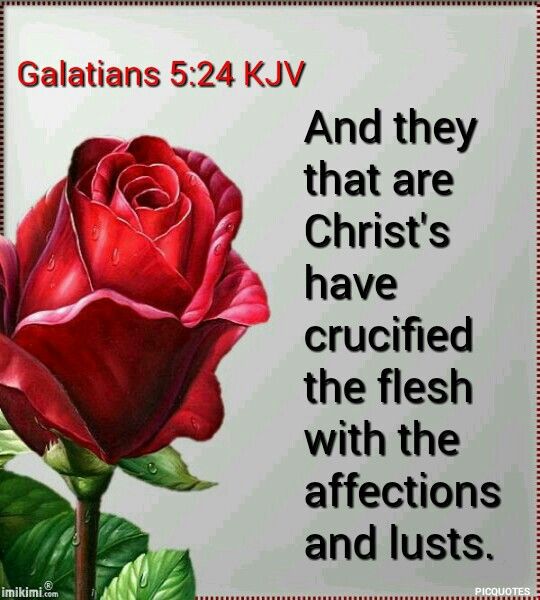 Galatians 5:24 KJV | Happy wedding anniversary quotes, Anniversary wishes for parents, Happy anniversary wishes