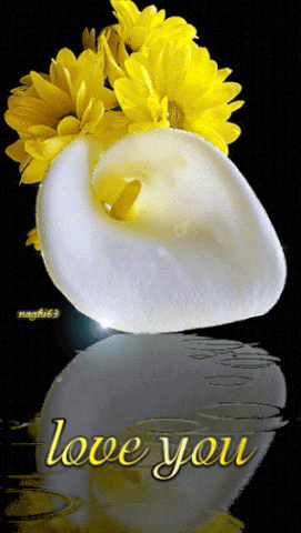 Animated Gif By Hfhfg Gdrgfd I Love You Images I Love You Gif Beautiful Flowers Images