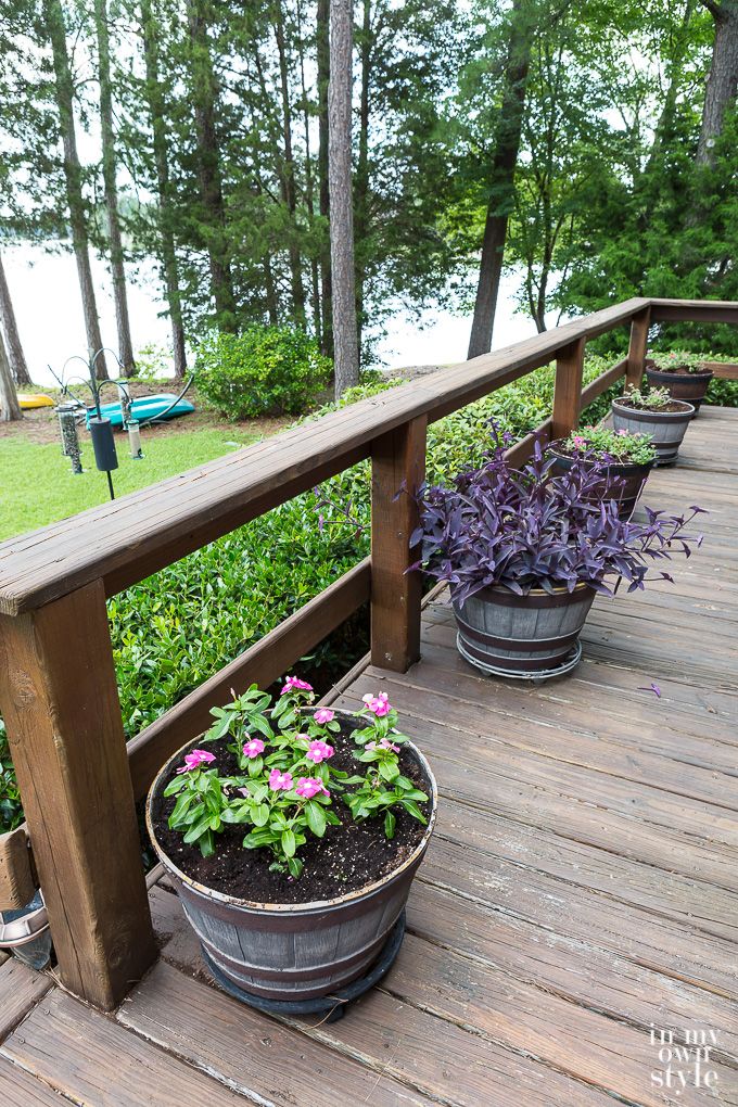 No More Mr McGregor for Me – Outdoor gardens