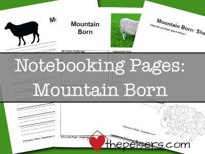 Mountain Born