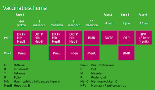 Vaccinatieschema-RVP_500 Blog, Periodic Table, Diagram, Health, Jackie, Periodic Table Chart, Health Care, Periotic Table, Blogging