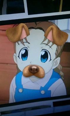 fullmetal alchemist nina dog fullmetal alchemist nina dog