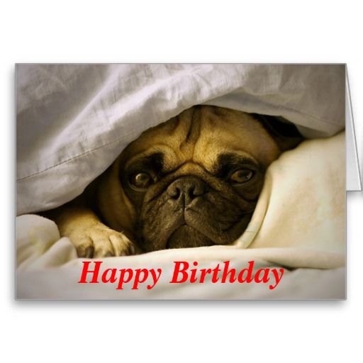 Happy Birthday Pug Puppy Dog Greeting Card Zazzle Com