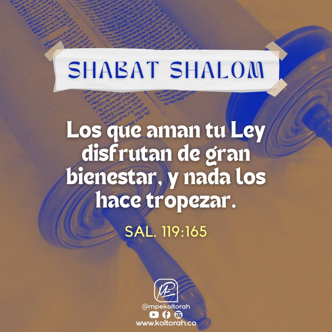 Salmo 119 165 En 2022 Lecturas B blicas Diarias Citas Del D a Salmo 119 165 En 2022 Lecturas B blicas Diarias Citas Del D a