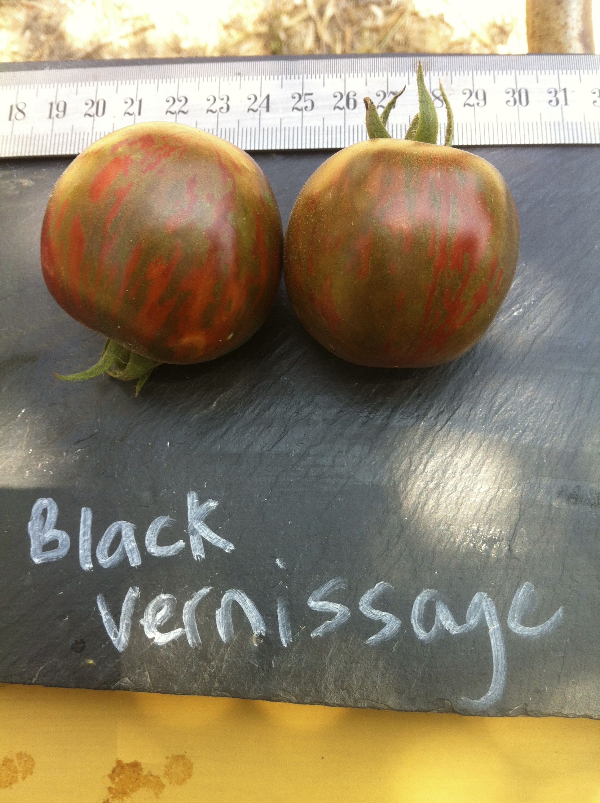 vernissage tomatoes vernissage tomatoes