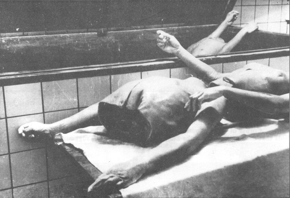 russian sleep experiment
