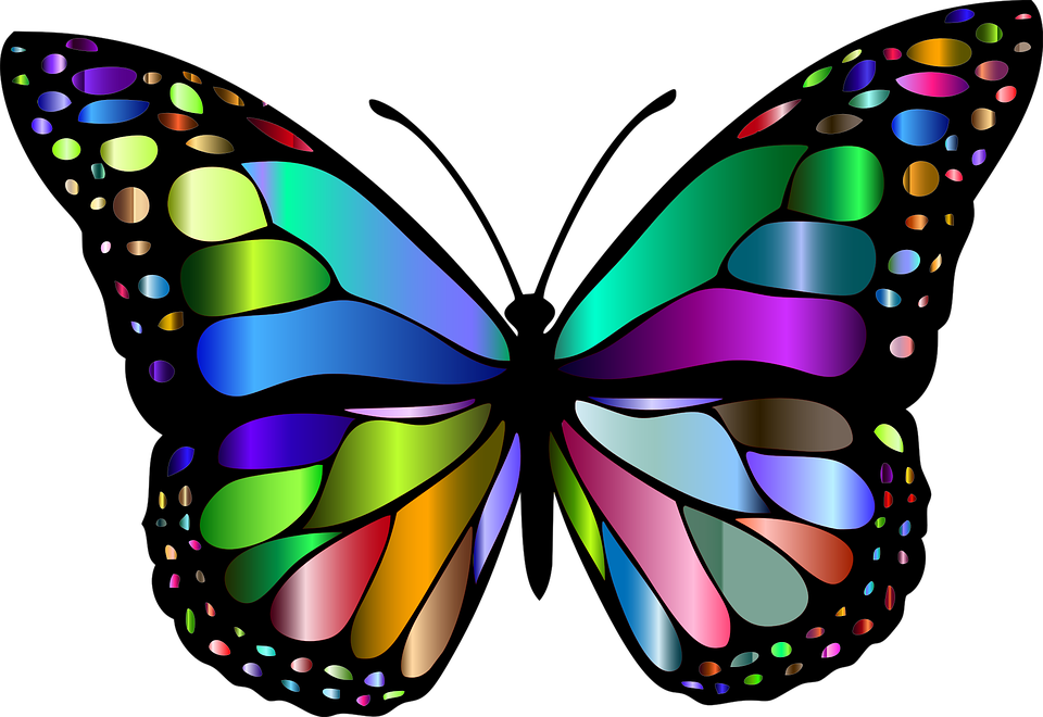 46+ Butterfly flying images clipart info