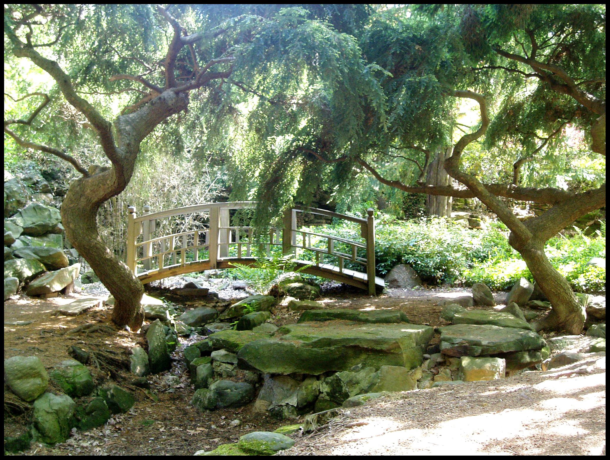 Asian Gardens Google Search Asian Gardens Google Search
