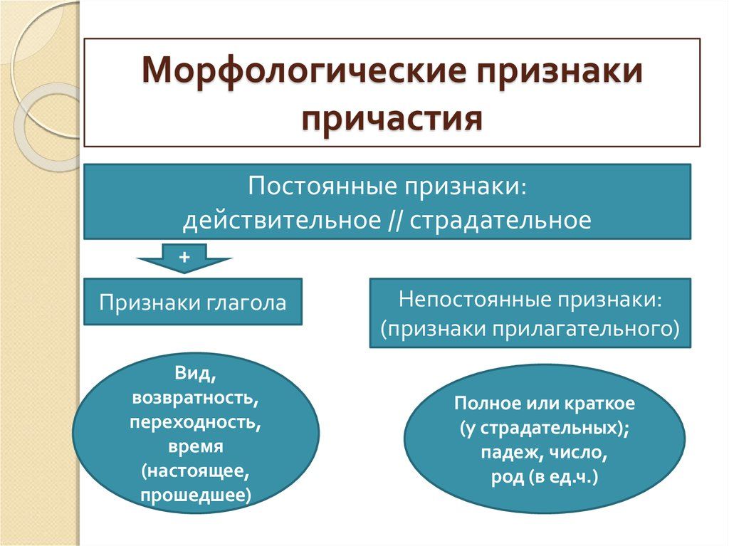 Причастия Русский язык без проблем. ВКонтакте Russian language learning, School