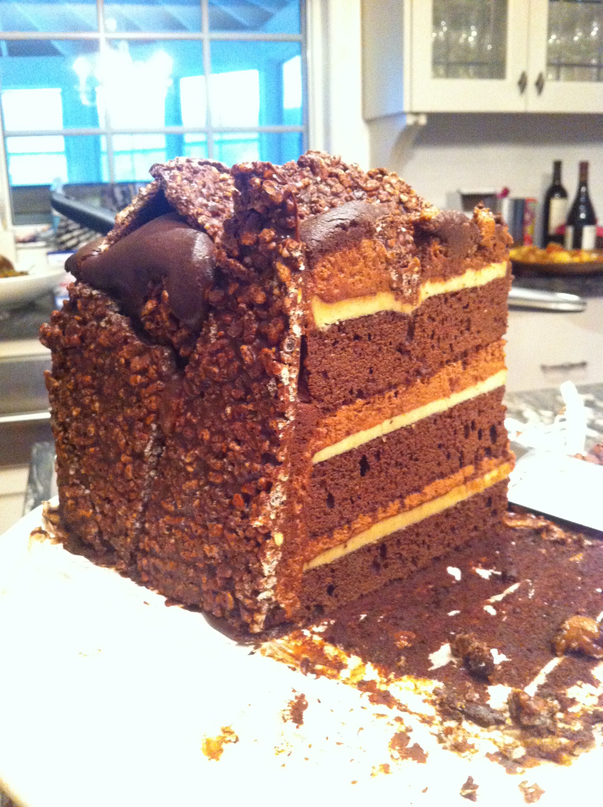 Chocolate hazelnut cake! Silky layers of chocolate sponge cake
