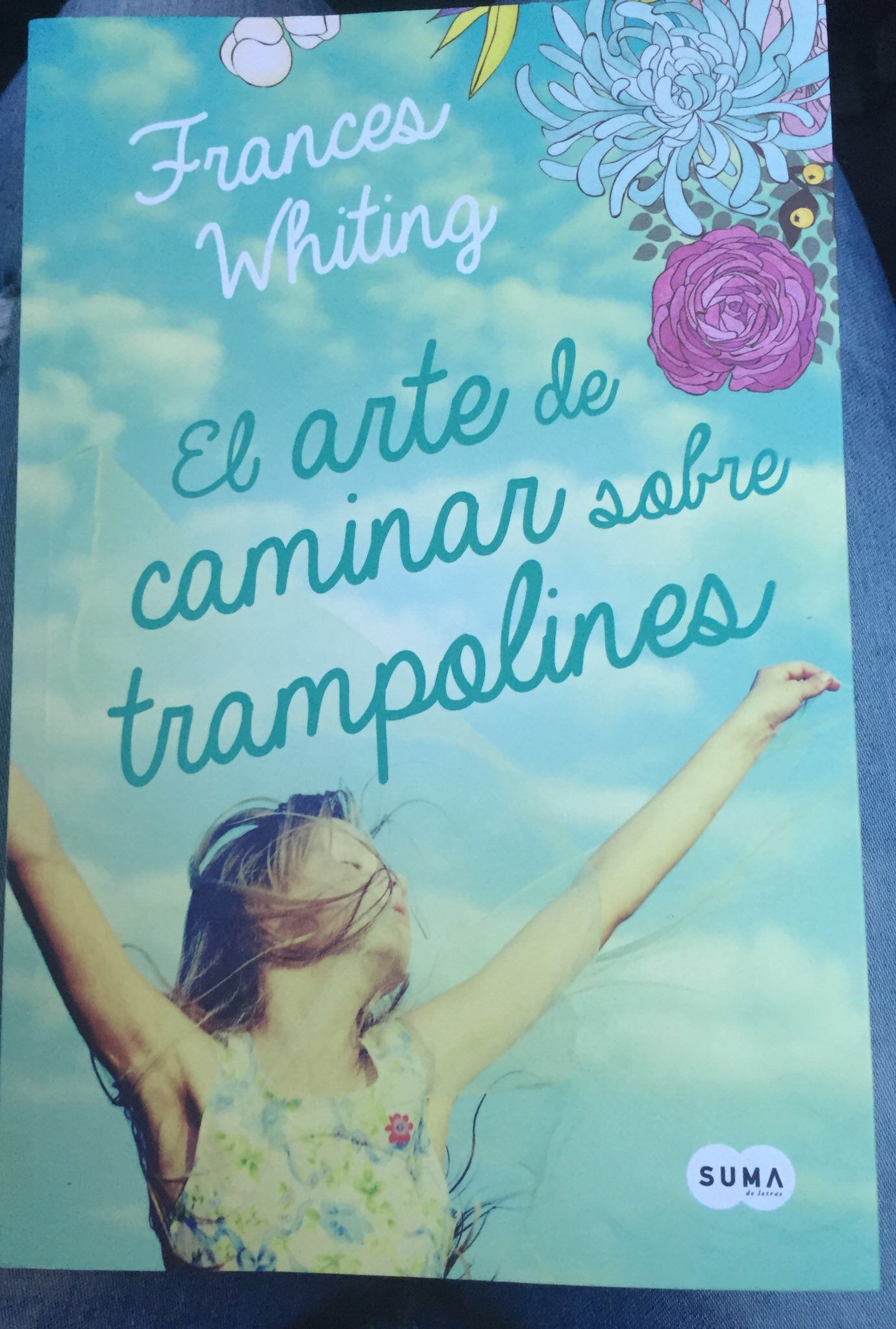 El Arte De Caminar Sobre Trampolines Frances Whiting Listas De Libros Libros De Novelas Trampolines