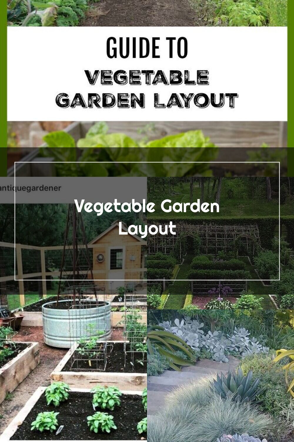 nothing tastes better than home grown vegetables fresh from your own garde garden layout home grown vegetables garden layout vegetable garden plot design on nothing tastes better than home grown vegetables fresh from your own garde garden layout home grown vegetables garden layout vegetable pinterest