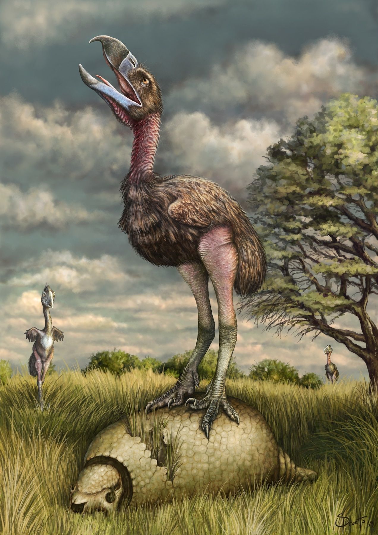 What made 'terror birds' so terrifying? New fossil prints reveal killer claws.