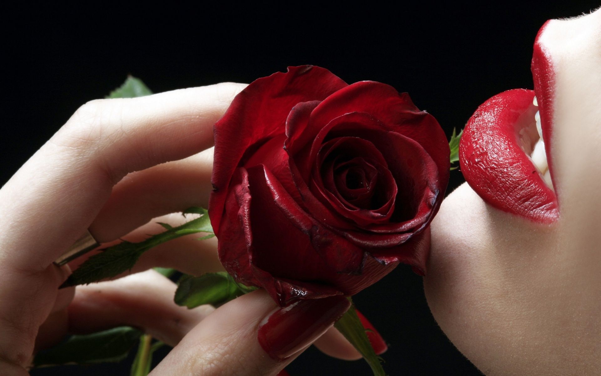 Pin On Red My Favorite Color