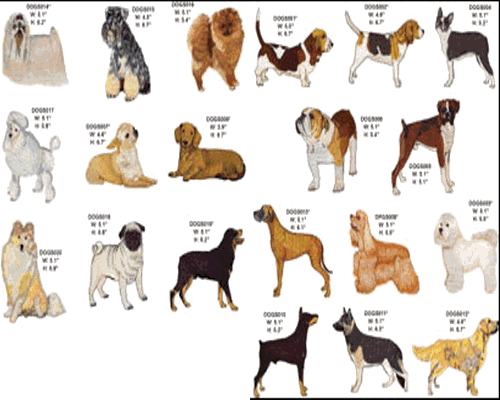 Pets Animals On Pinterest Dogs Dog Breeds And Dog Haircuts | dog breeds still quotes select your dog breeds by Pets Animals On Pinterest Dogs Dog Breeds And Dog Haircuts | dog breeds still quotes select your dog breeds by