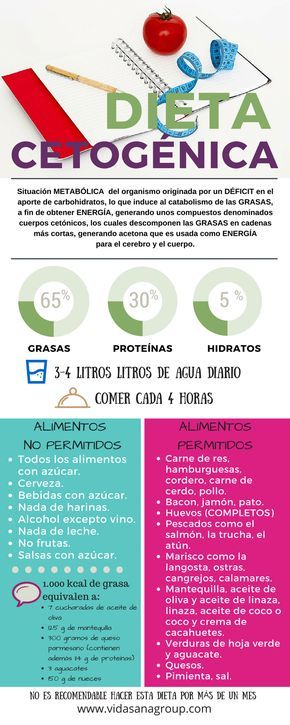 Para que sirve el aguacate en una dieta cetosisgenica
