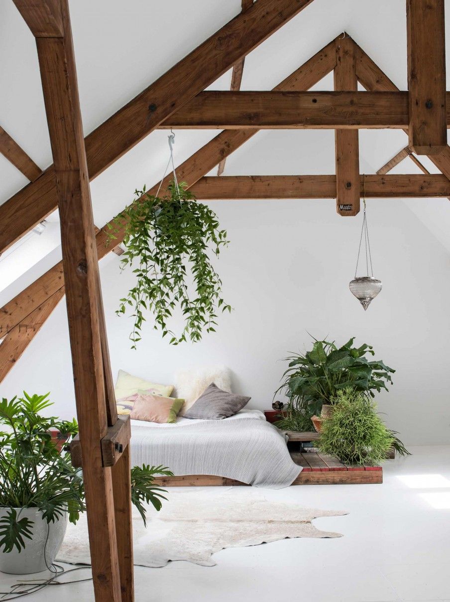 urban jungle in de slaapkamer | urban jungle in the bedroom ... urban jungle in de slaapkamer | urban jungle in the bedroom ...