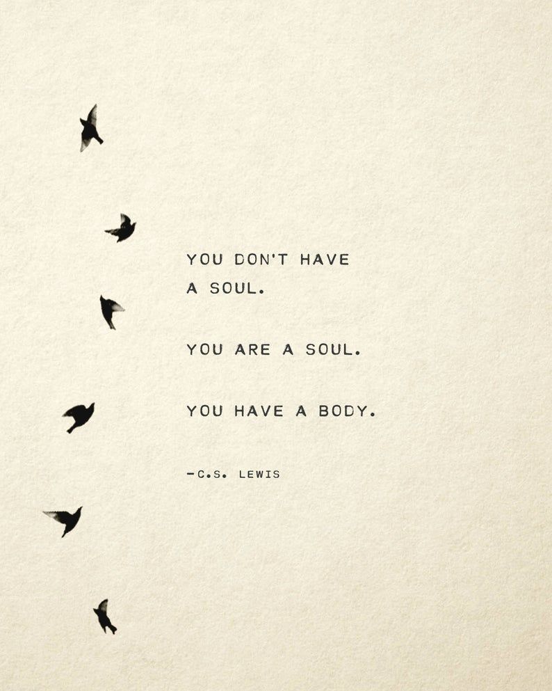 Soul Poetry, Poetry Art, Poetry Quotes, Words Quotes, Me Quotes, Happy Soul Quotes, Poetry Books, Beautiful Soul Quotes, Rumi Poetry