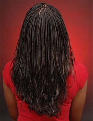 Micro Pony Braids Check Out Images Pin It From Cardenhttp Www Black Hair