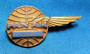 United Airlines Plastic Wings Lapel Pin Pinback Gold Tone Color Pilot Stewardess