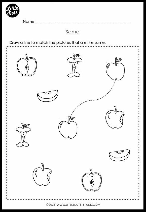 PreK Same and Different Worksheets and Activities