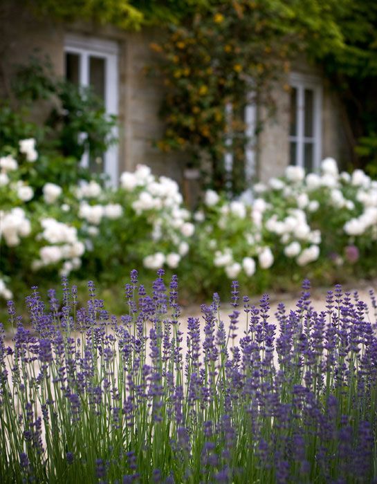 Three French Gardens Mark D Sikes Chic People Glamorous Places Stylish Things Beautiful Gardens Garden Landscape Design French Garden