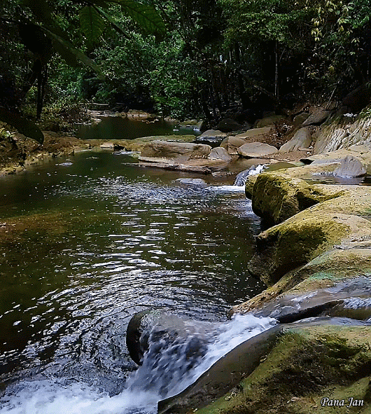 Aripo river small waterfall | Nature gif, Nature photos, Sunset photography