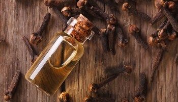 Cinnamon Essential Oil Benefits, Uses, Properties and Warnings - EverPhi