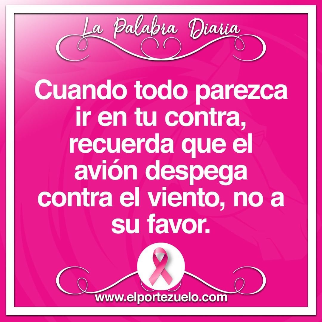 Pin Auf Frases