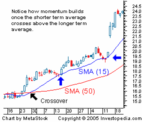 What is the averagwe amount people invest in forex