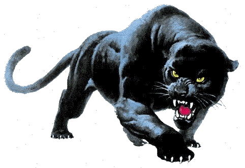 Imagen animada Pantera 05 en 2020 | Tatuaje de pantera, Panteras felino, Dibujo de pantera negra