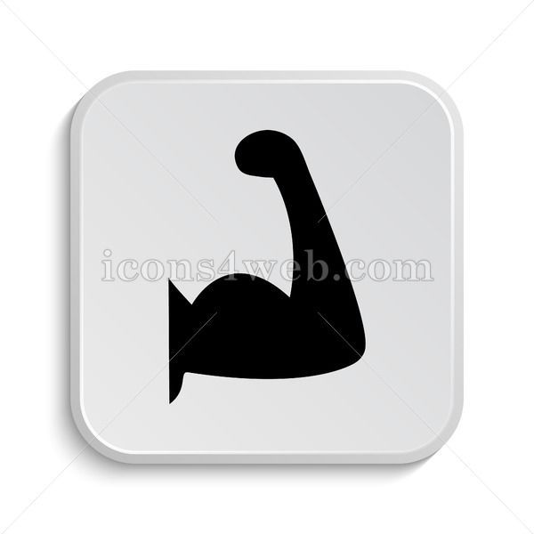 Only 1$. Muscle icon design. Icon designed in high resolution on white background. Stock illustratio...