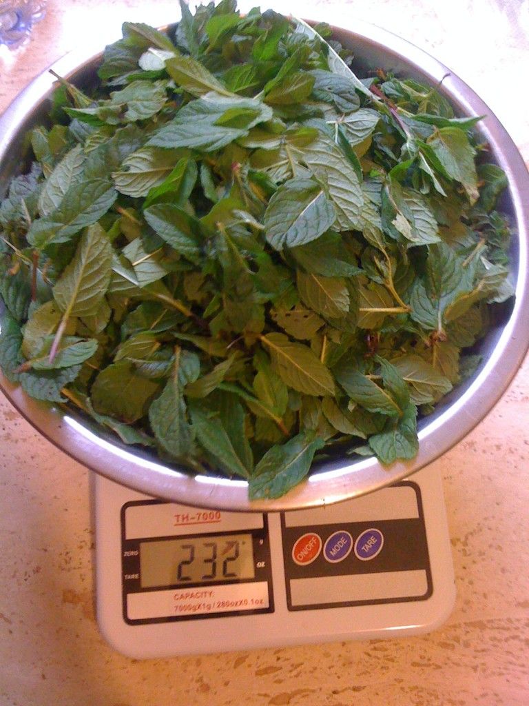 Sciroppo di menta ricetta sana e genuina